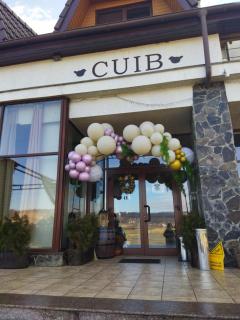 La Cuib Cristian Sibiu - Cristian - 7