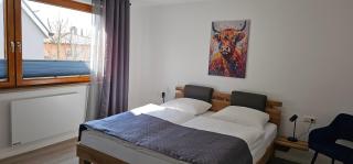 Elodia Luxus Apartment, WLAN, Terrasse, Küche, Handtücher - Heidenheim an der Brenz - 0
