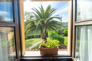 La Casona del Cura 2, LIRIO - 4