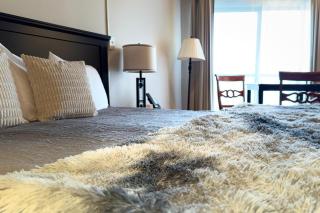 Mountain Inn Studio 92 with Wintergreen Advantage - Wintergreen - 5