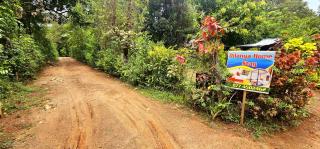 Dilanya Homestay - Habarana - 9