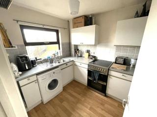 Modern apartment in Vibrant Walthamstow - Londen - 4