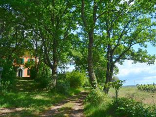 Holiday Home in Tuscany with Pool & Hills View - Montefiridolfi - 2