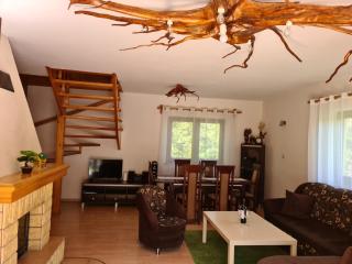 Forest House - Lubomierz - 6