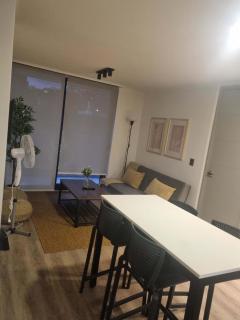 Oasis Providencia Pedro de Valdivia Stn 2BR - Santiago - 3