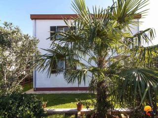 Studio in Valbandon Istrien 8360 - Valbandon - 5