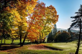 Royal Laurentien - 1