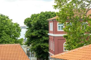 Apartment Dokoza in Old Town - Zadar - 0