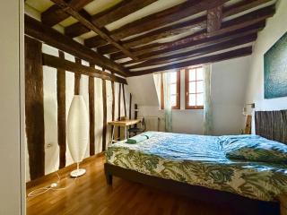 Lylylodge - T3 Rouen city center - Rouen - 8
