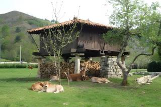 Hotel Rural Sucuevas - Llano-Con - 8