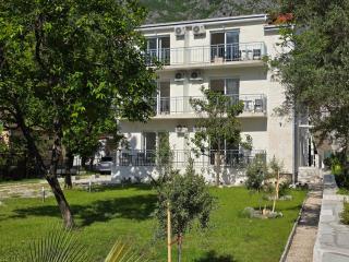 Villa BOJANA AS Aparments Risan - Risan - 1