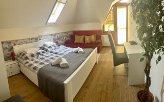 Aranyló Apartmanház - Quiet Studios with Balcony - 2