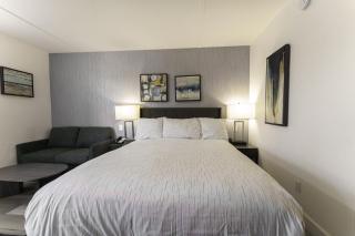 Studio Apt in North Scottsdale - Scottsdale - 0