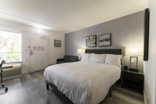 Studio Apt in North Scottsdale - Scottsdale - 7