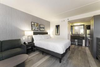 Studio Apt in North Scottsdale - Scottsdale - 3