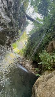 Wild River CampGround - - 1