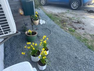 Guest house for rent in simrishamn - Herräng - 6