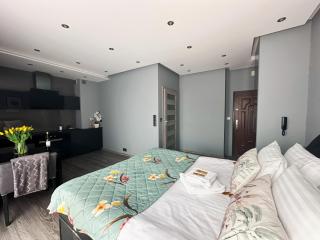 Apartament Chełmionka - Toruń - 8