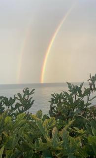 Petra Paura B&B by ROOMS SRLS - 5