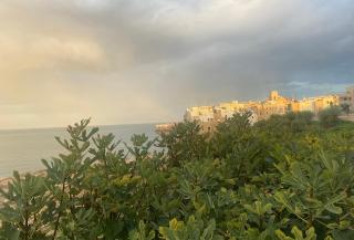Petra Paura B&B - Polignano a Mare - 8