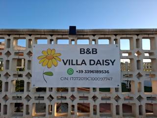 B&B Villa Daisy Conversano - Polignano a Mare - Conversano - 1