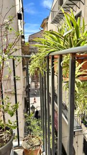 Fajra house - 2