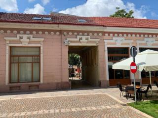 Casa Central Luxury - Oradea - 8