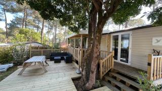 Petit Cocon au Cap Ferret Camping les Embruns - Lège-Cap-Ferret - 1