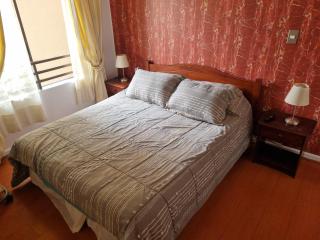 Delpinopropiedades 1 dormitorio sector top Viña - 5