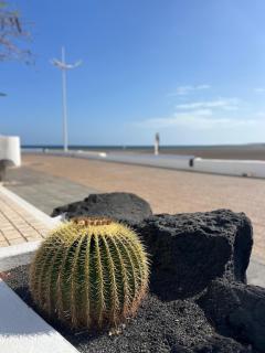 Malvasía - Playa Honda - 3