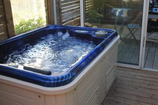 Petit chalet climatisé avec jacuzzi privé - 0