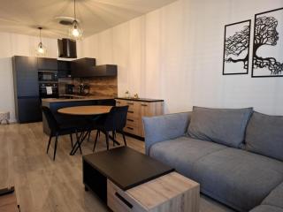 ORBIS Central apartment - 6