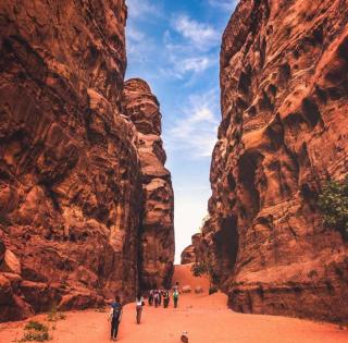 Rum Magic Desert - Wadi Rum - 0