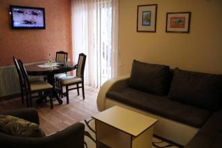 Apartmani Milekic - Zlatibor - 4