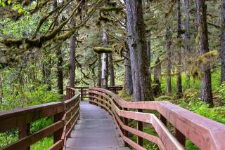 Glacier Bay Lodge - Gustavus - 1