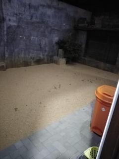 Mystic home stay - Nikawatawana - 4