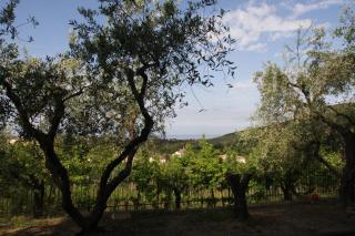 Villa Tresino Appartamenti - 5