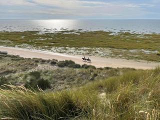 Meerblick Cafe Reiten Spielplätze Animation WLAN - Fanø - 4