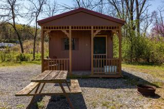 Cozy Cabin4 Within Campground - Mifflinburg - 8