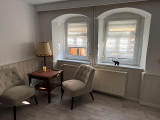 Ferienhaus mit Garten und Terrasse, zentral und ruhig - Freyburg - 0