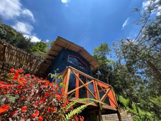 Casa Montserrat - Floridablanca - 6