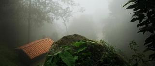 Casa Montserrat - Floridablanca - 3