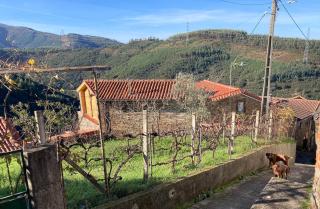 Casa do Ferreiro - Bocado Arganil - Arganil - 0