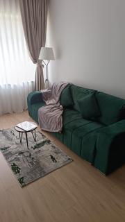 Cozy Retreat Grand Chalet Aparthotel - Braşov - 1