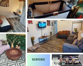 Escapade du Roi Henri IV à PAU VILLA Entièrement Privée 6 Personnes & BÉBÉ avec SPA, Braséro, Plancha & Piscine Idéal Vacances, Week-end, Repos ou Télétravail - Pau - 7