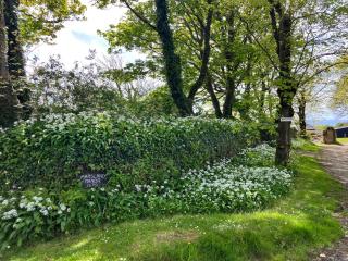 Hunters Lodge at Marsland Manor - Morwenstow - 9