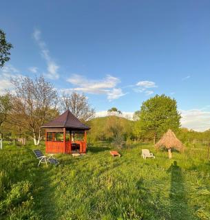 Pension Bud - Onceşti - 9