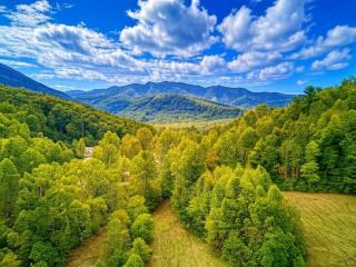 Blue Moon, Pickleball Court, Creek, WIFI, Mountain Views, Starting at 69 - Cosby - 0