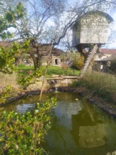chambre d hôtes Ferme Bressane la barcarolle - Dommartin-lès-Cuiseaux - 6