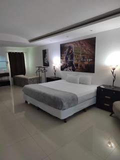Suite Privada para Parejas en Playa Caracol Cancun - Cancún - 4